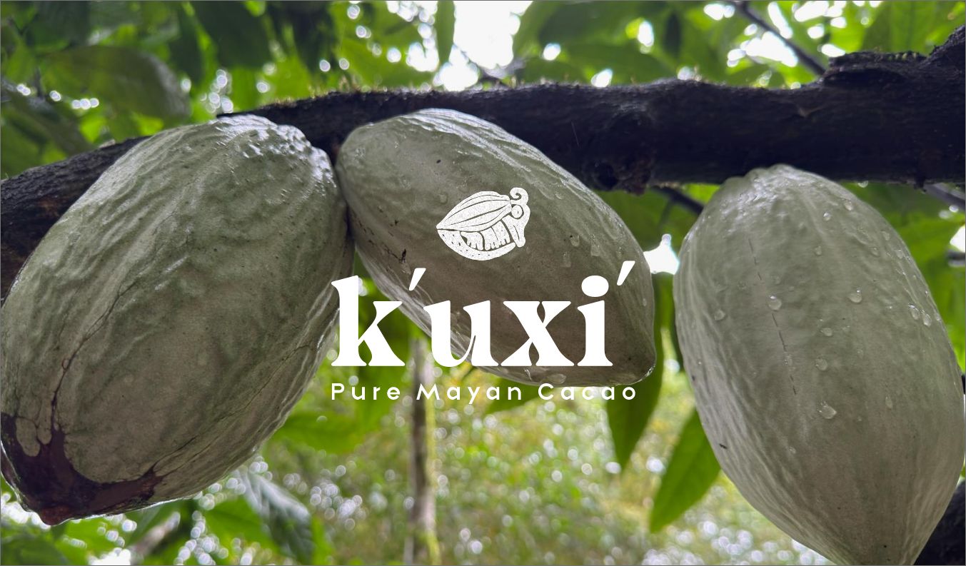 K'uxi' - Portfolio afbeelding